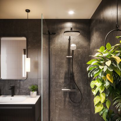 Mira showers bathroom