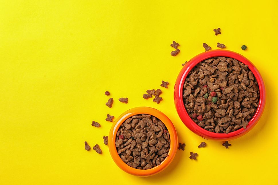 Where to buy pet food online Tom's Guide