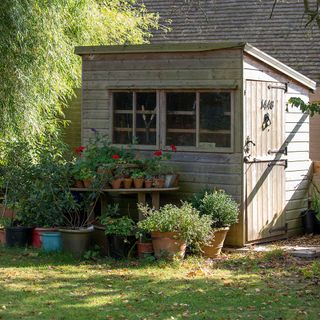 wooden shed with potted plants in garden