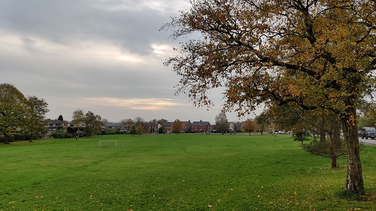 OnePlus 7T Pro camera samples
