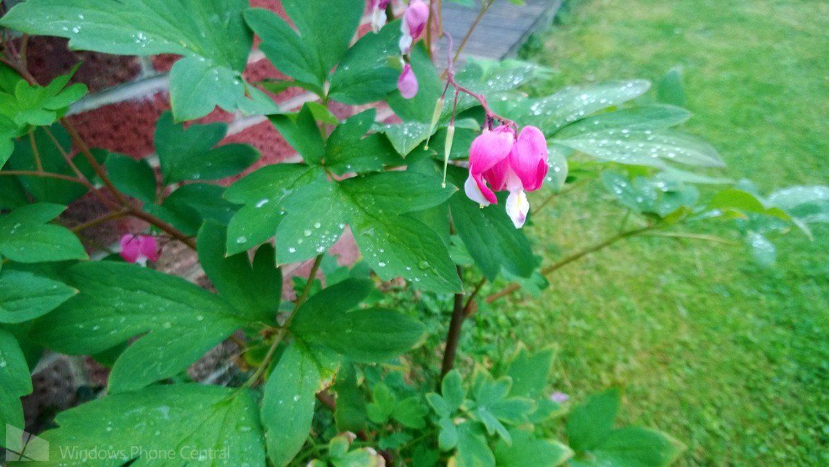 Lumia 925 Sample