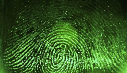 A scanned fingerprint.
