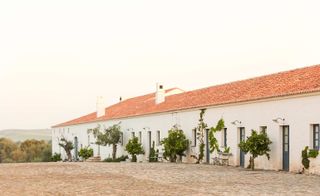Exterior view of the São Lourenço do Barrocal hotel. White, one story building, with navy doors to the rooms and plants and benches on the walls.