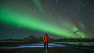 a person stands in the center of the image and looks up to a green band of light in the sky.