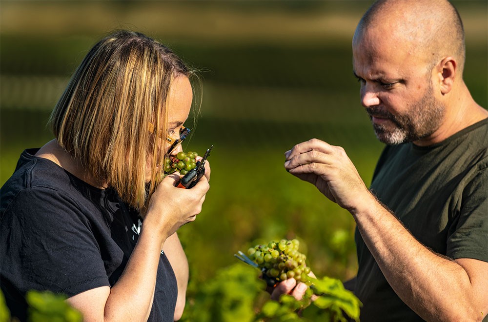 Nathalie Vignier and Sebastien Nickel