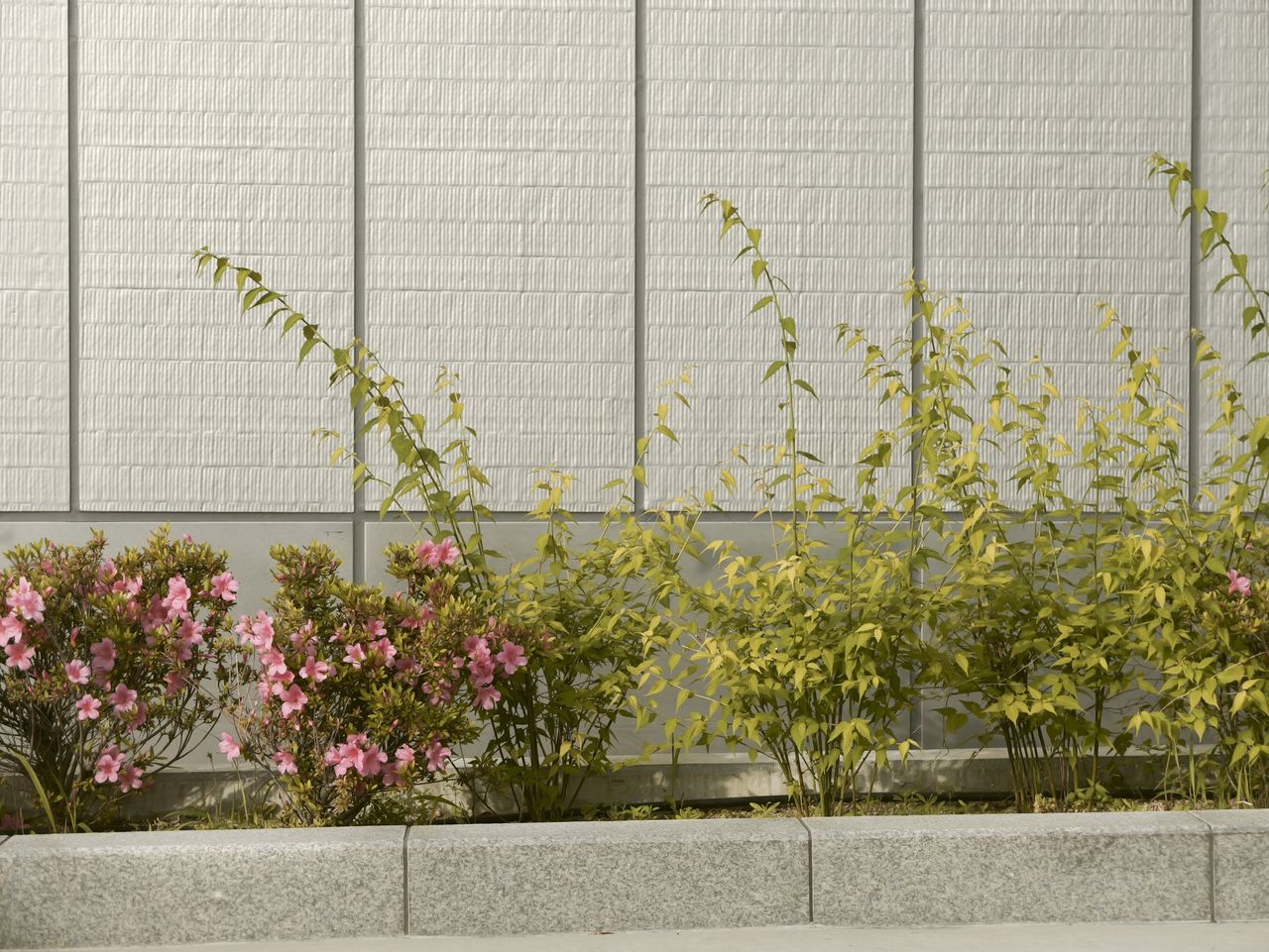 Sample image taken with the Panasonic Lumix L10; flower bed contrasting a plain gray building frontage on Osaka urban street