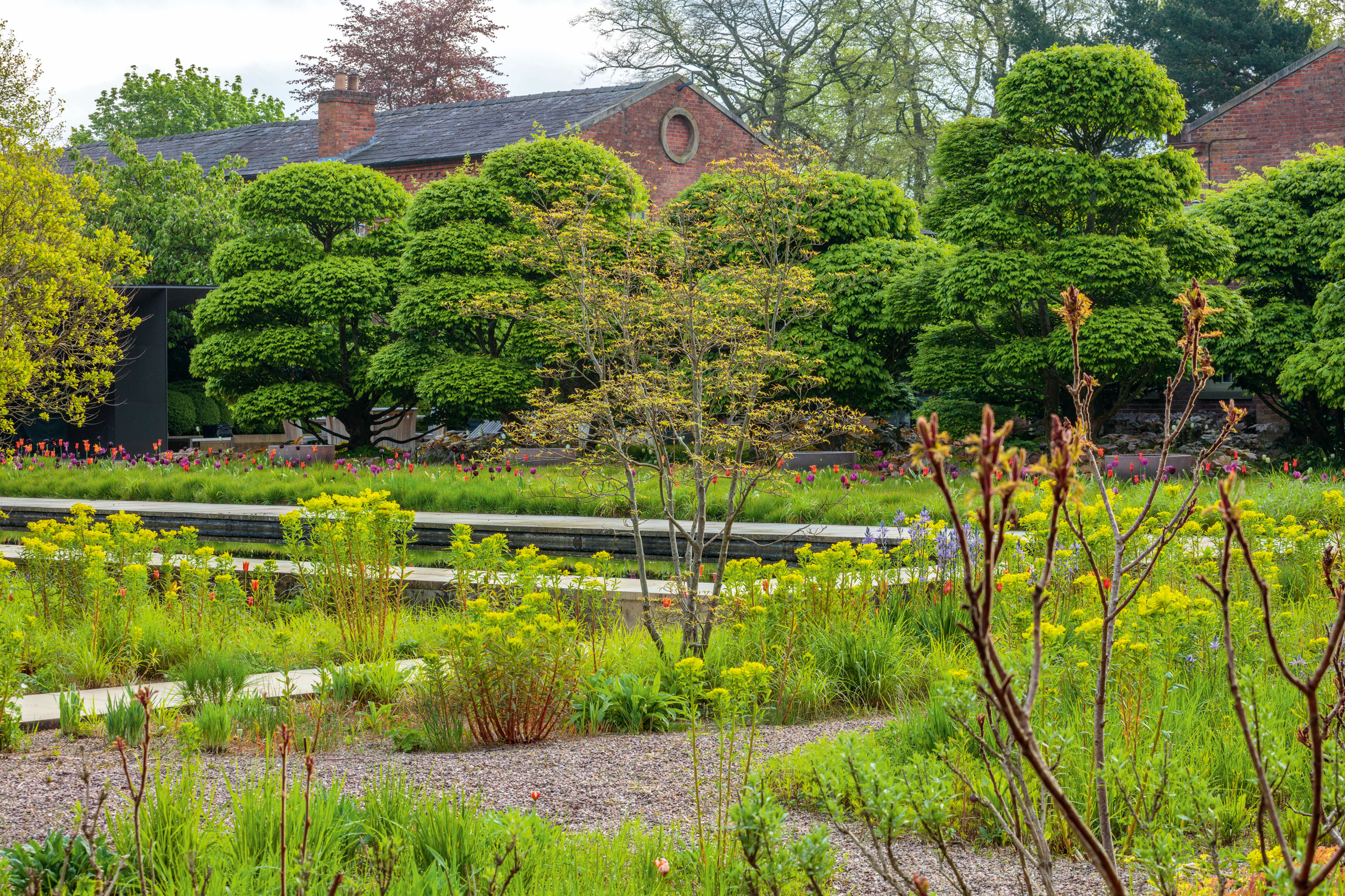 The garden at Cogshall Grange in Antrobus, Cheshire &amp;mdash;&amp;nbsp;the home of Julia Kirkham and Brendan Flood.