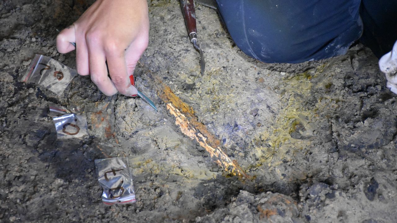 The sword and the dagger found in the tomb are especially ornate; the scabbard of the sword and the hilt of the dagger are decorated with gold leaf.
