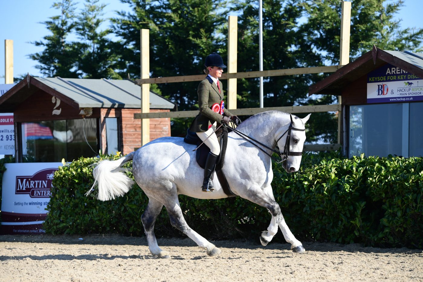 HorseNo150_Showing_PN19_2574_272076272_465343851-e1551288142782.jpg