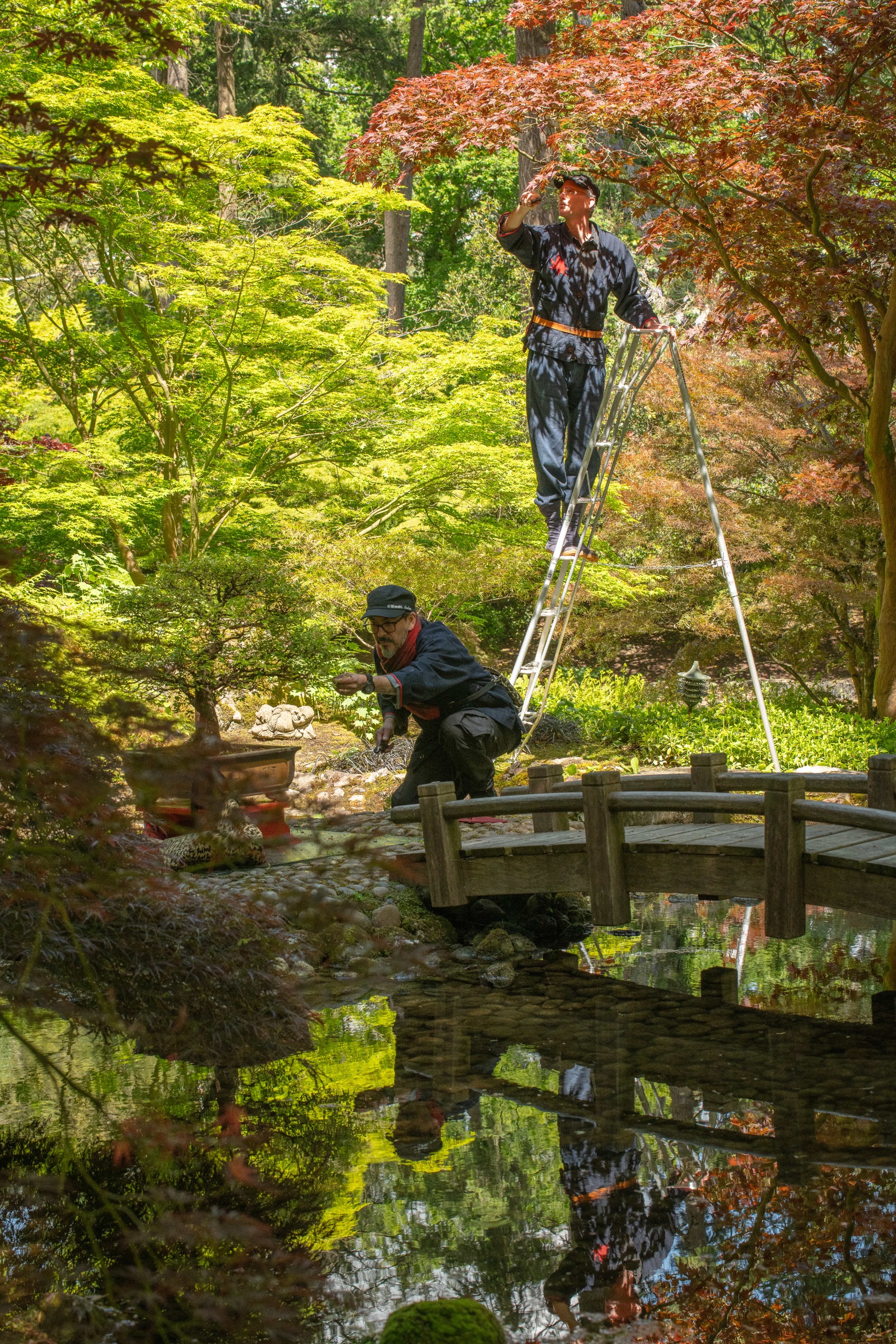 Niwaki and Friar Park