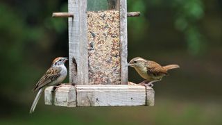 Two birds eating from a wooden bird feeder