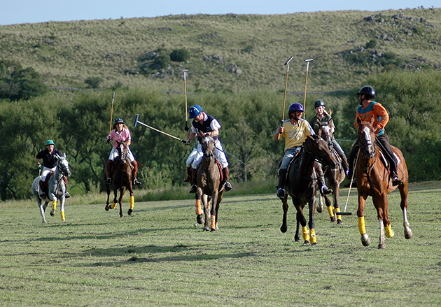 Estancia Los Potreros Argentina (27)