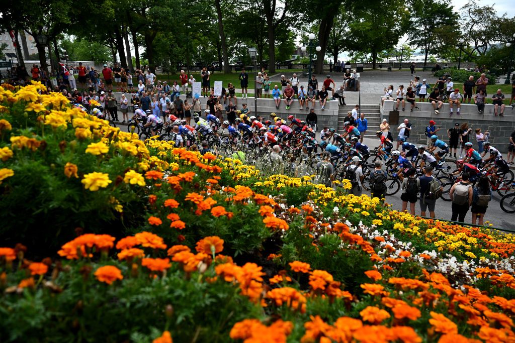 QUEBEC CITY QUEBEC SEPTEMBER 08 A general view of the peloton passing through a landscape during the 12th Grand Prix Cycliste de Qubec 2023 a 2016km one day race from Quebec to Quebec 92m UCIWT on September 08 2023 in Quebec City Quebec Photo by Dario BelingheriGetty Images