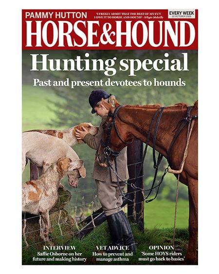 The cover of Horse & Hound magazine featuring hunt groom at the South Devon Beth Wright on foot talking to hounds with her chestnut hunter standing alongside