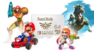 A shot of the best Nintendo Switch SD Card surrounded by various Nintendo characters