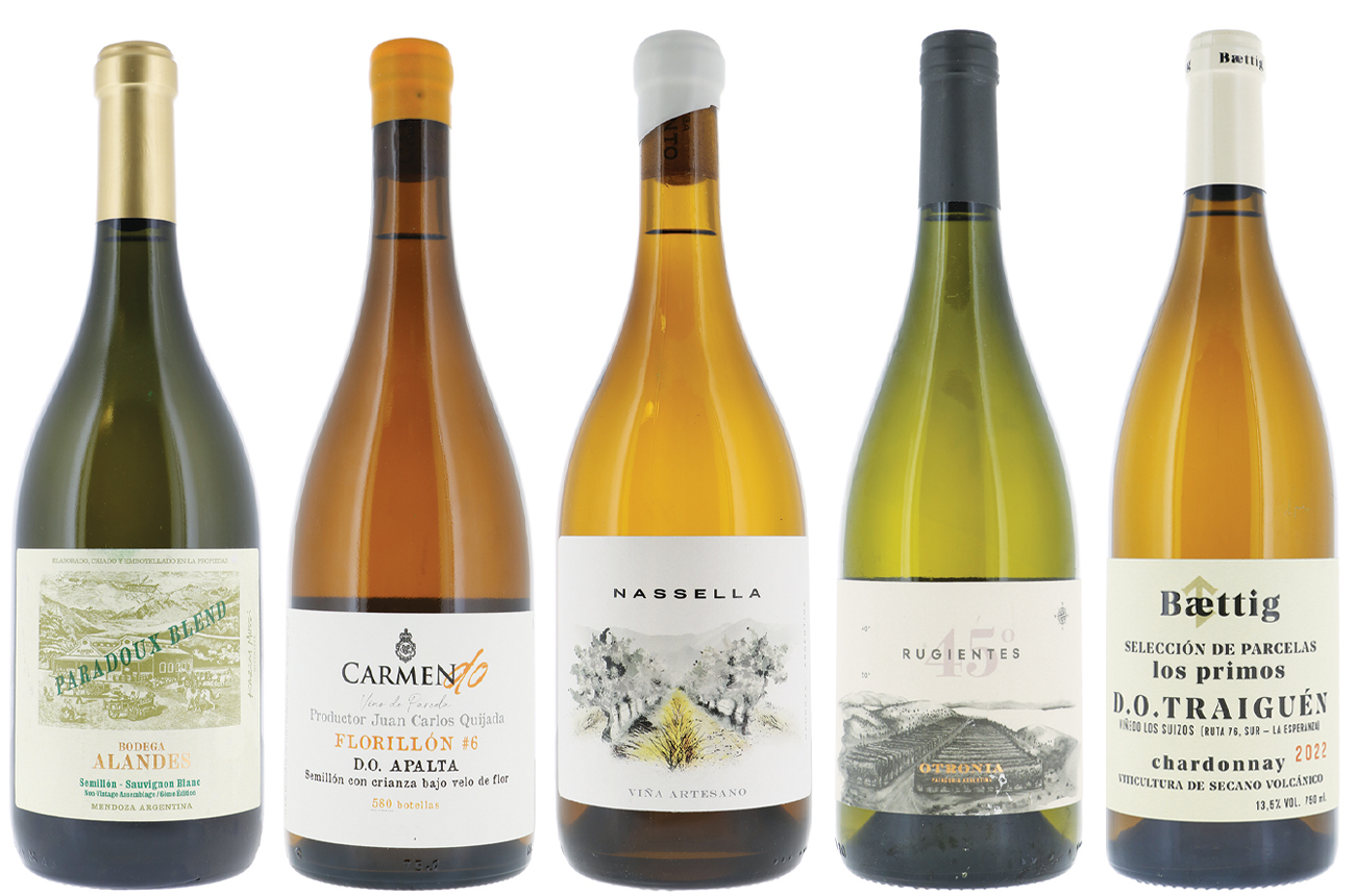 South American premium white wines