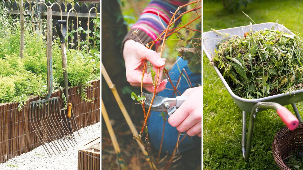 picture of garden forks, woman pruning plant and a wheelbarrow of removed weeds