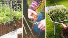 picture of garden forks, woman pruning plant and a wheelbarrow of removed weeds