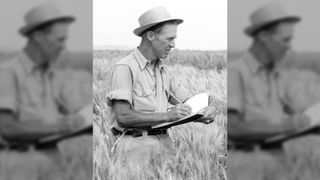 Black and white photo of American agronomist Norman Borlaug writing in a notebook whilst standing in a field of wheat.