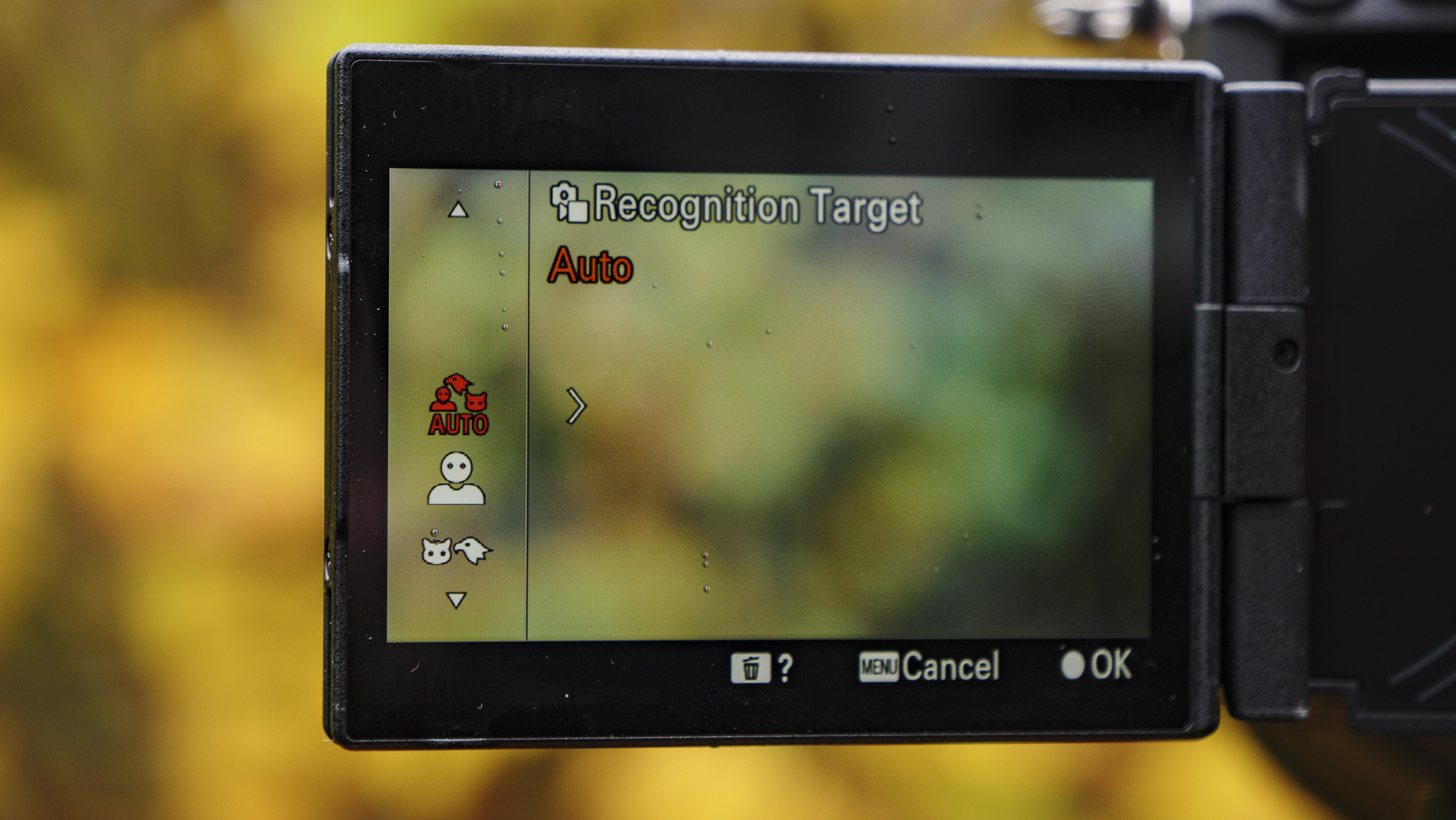 Sony A1 II mirrorless camera's LCD screen displaying the autofocus modes, outdoors on a tripod with autumn leaves background