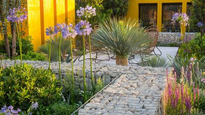 landscaping ideas with rocks: Santa Rita Living La Vida 120 Garden - view towards home office studio in Mediterranean climate garden with grey stone paved patio seating area with table and cane chairs - yellow screen wall and planting of drought tolerant plants - Agapanthus &#039;Blue Storm&#039;, Yucca rostrata &#039;Blue Swan&#039;, Pittosporum tobira &#039;Nanum&#039; and Salvia nemorosa - Designer: Alan Rudden - Sponsor Santa Rita wine - RHS Hampton Court Flower Show July 2018