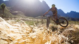 Nino Schurter riding at the Cape Epic