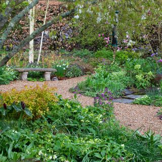 woodland garden area with gravel path and flowering shrubs