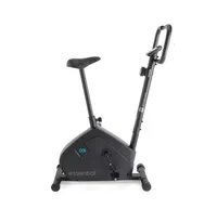 Domynos Essential Bike