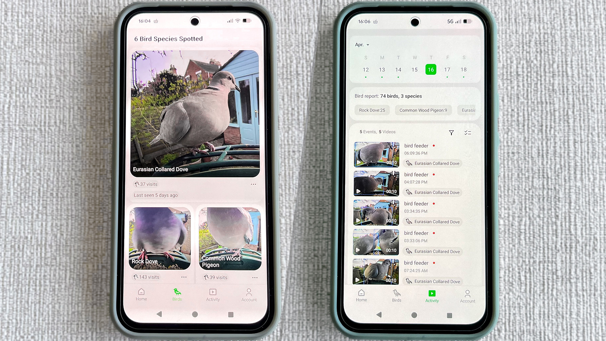 Kiwibit bird feeder app