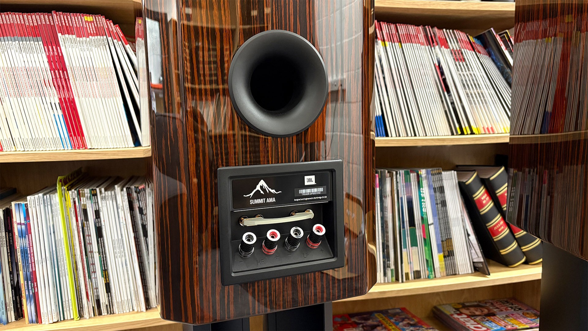JBL Summit Ama standmount speakers in front of bookcase, rear of cabinet showing connections