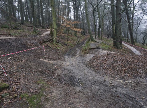 bridleway-in-the-middle-without-horse.jpg