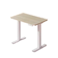 Huano 32in standing desk