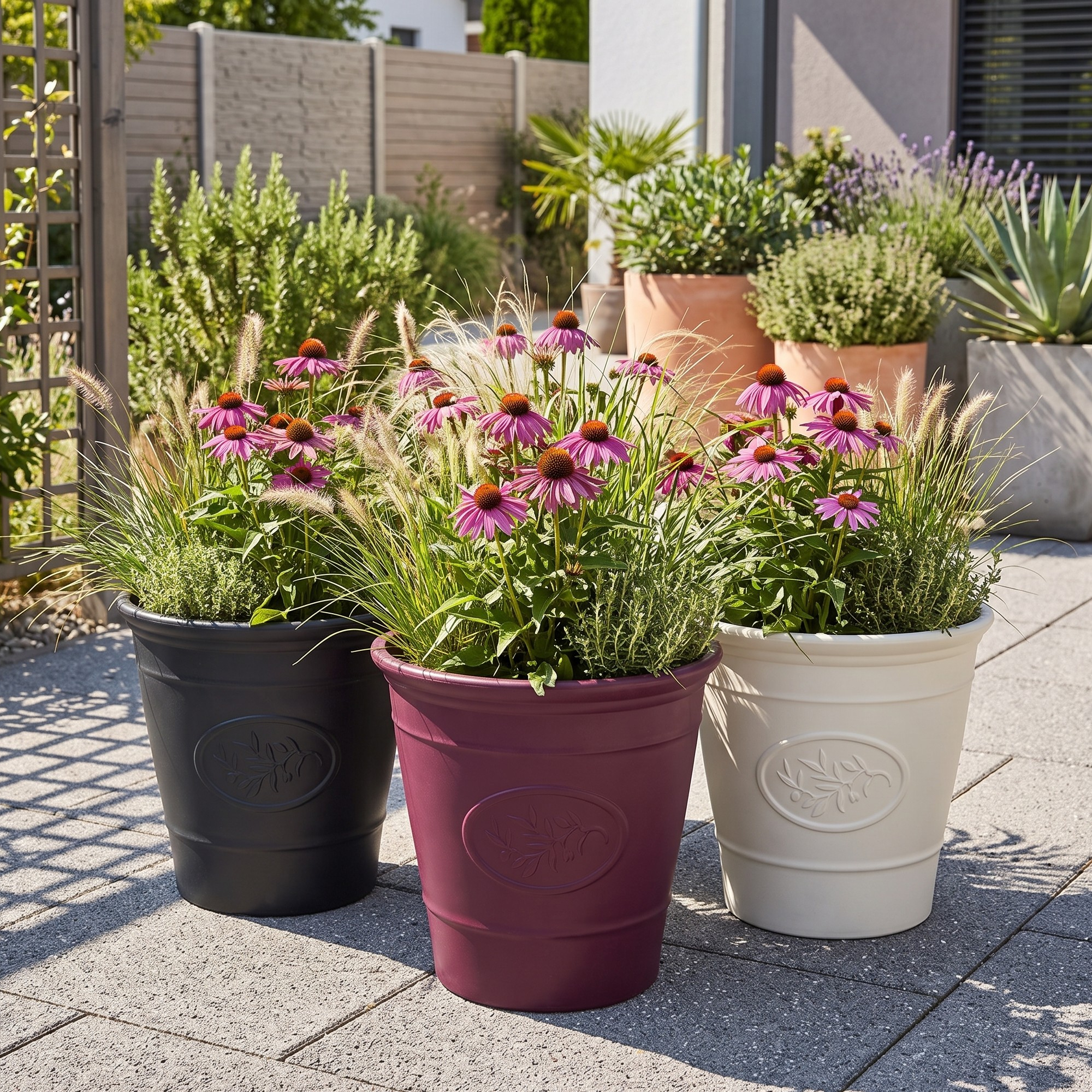 Three Belavi large resin Aldi planters planted with echinacea and ornamental grasses standing on a patio in summer