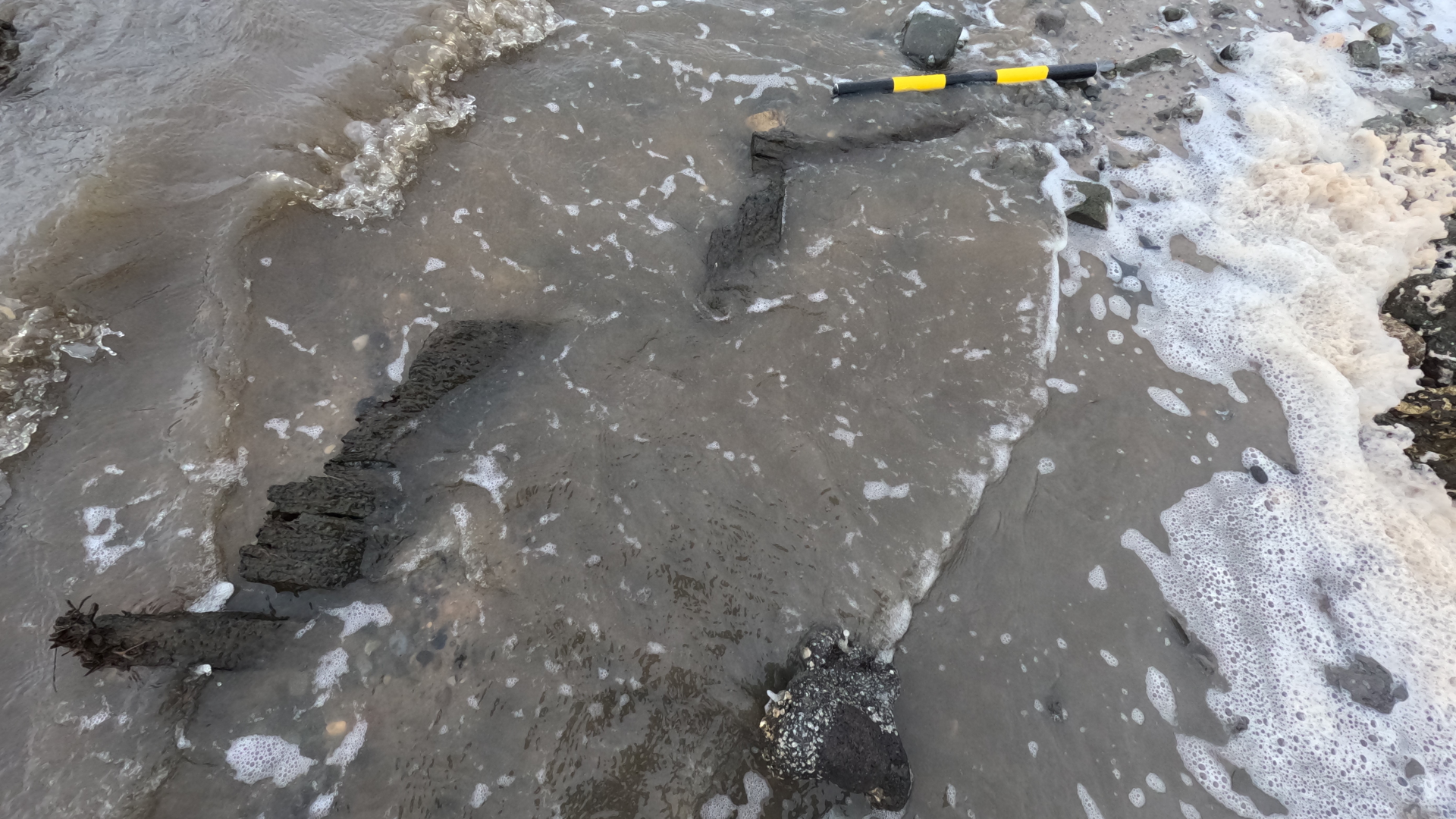pieces of timber eroding out of the beach