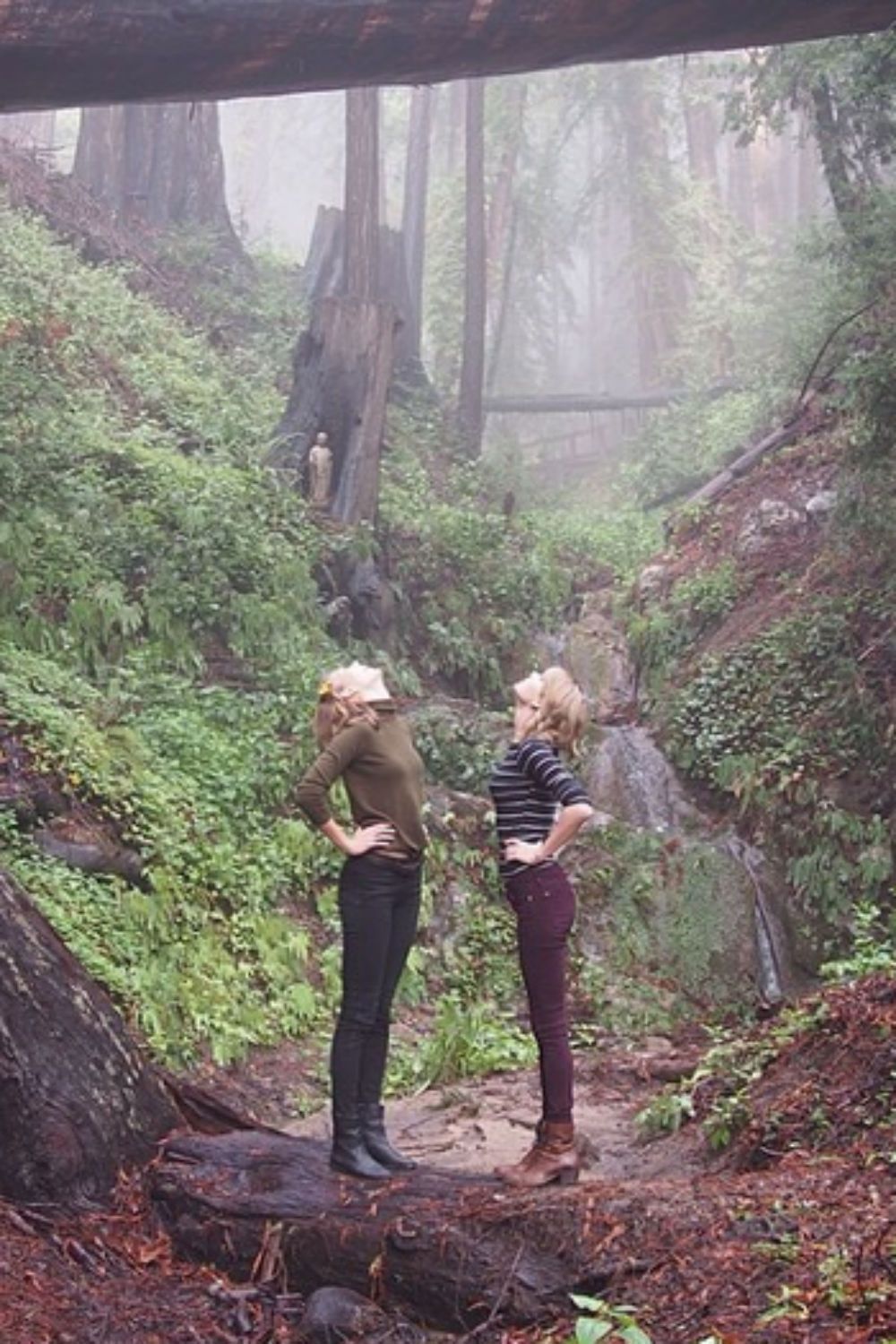 Taylor Swift and Karlie Kloss road trip