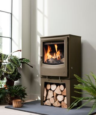 brown log burning stove on black hearth against grey wall with lots of plants in pots around the area