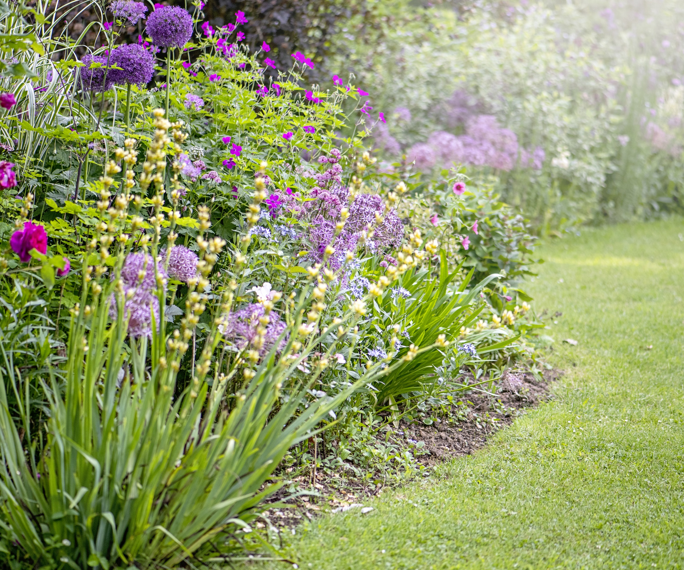 Garden border, repeated planting