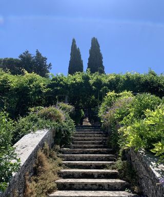 Stone step at Villa La Foce, leading up to a wisteria pergola and cypress towers beyond