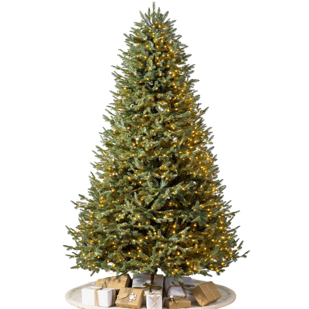Balsam Hill, 5.5&#039; BH Balsam Fir&amp;reg; Christmas Tree