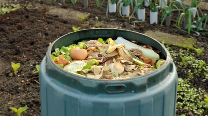 compost in a bin