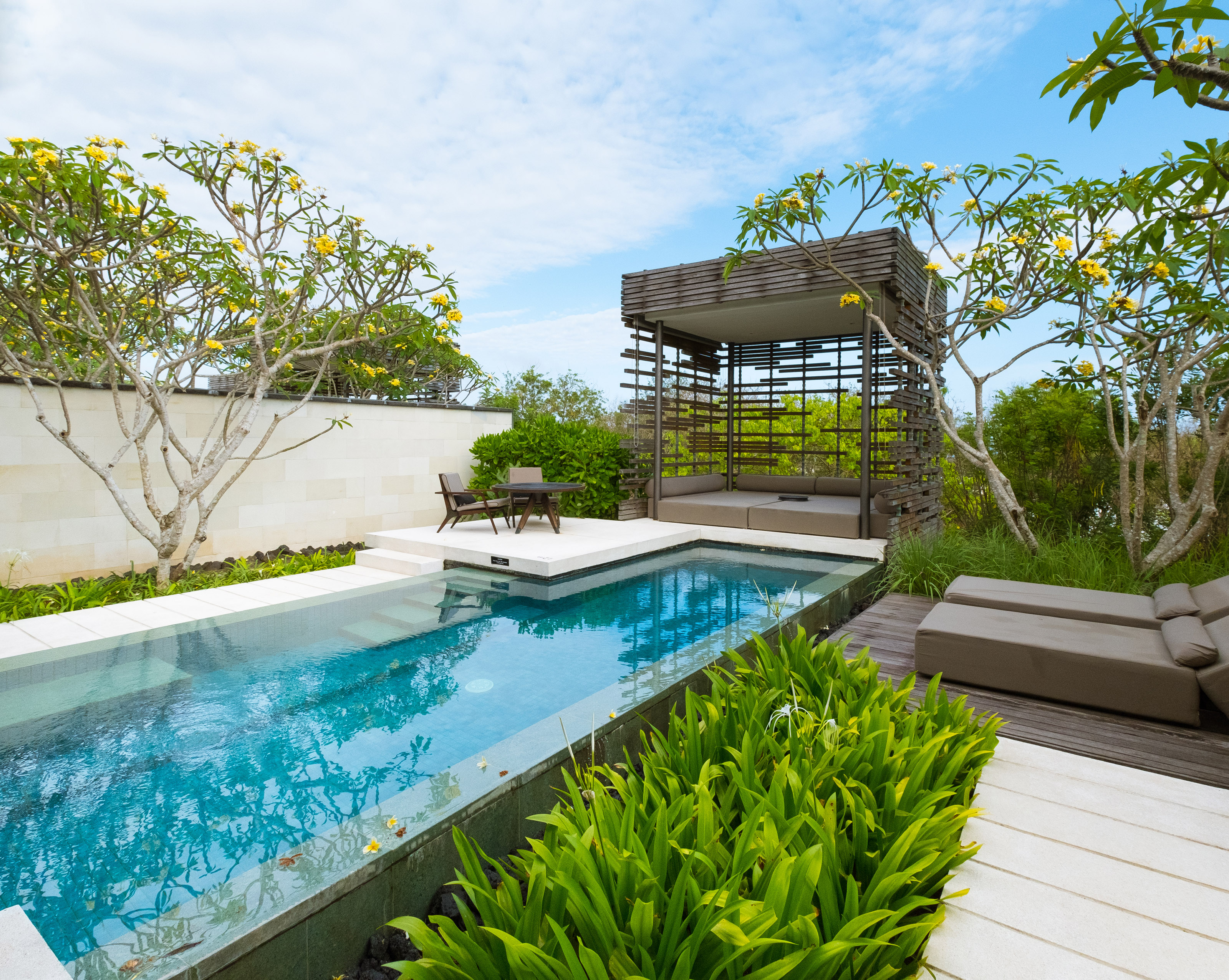 pool landscaping ideas: raised lounger bed at one end of a pool covered by a contemporary pergola