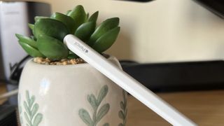 Apple Pencil second generation leaning against a plant