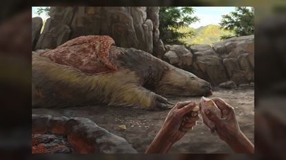 A drawing showing a dead giant ground sloth with cut marks. We see two human hands crafting the sloth's bone.