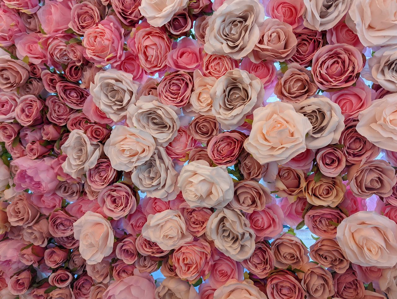 Google Pixel 6 image samples