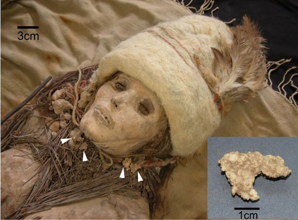 mummy found with ancient cheese