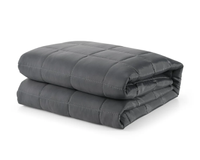 Gravity Flex Travel Blanket: was $100 now $29 @ Gravity