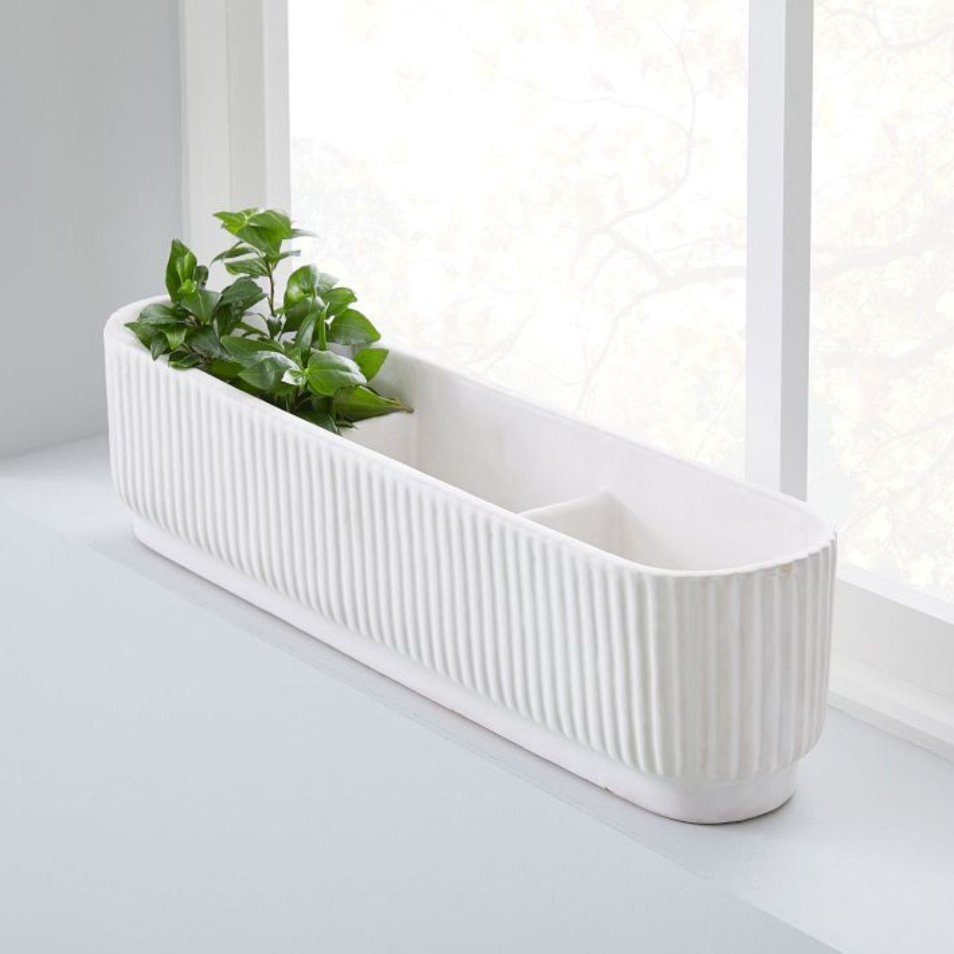Fluted Ceramic IndoorOutdoor Windowsill Planter