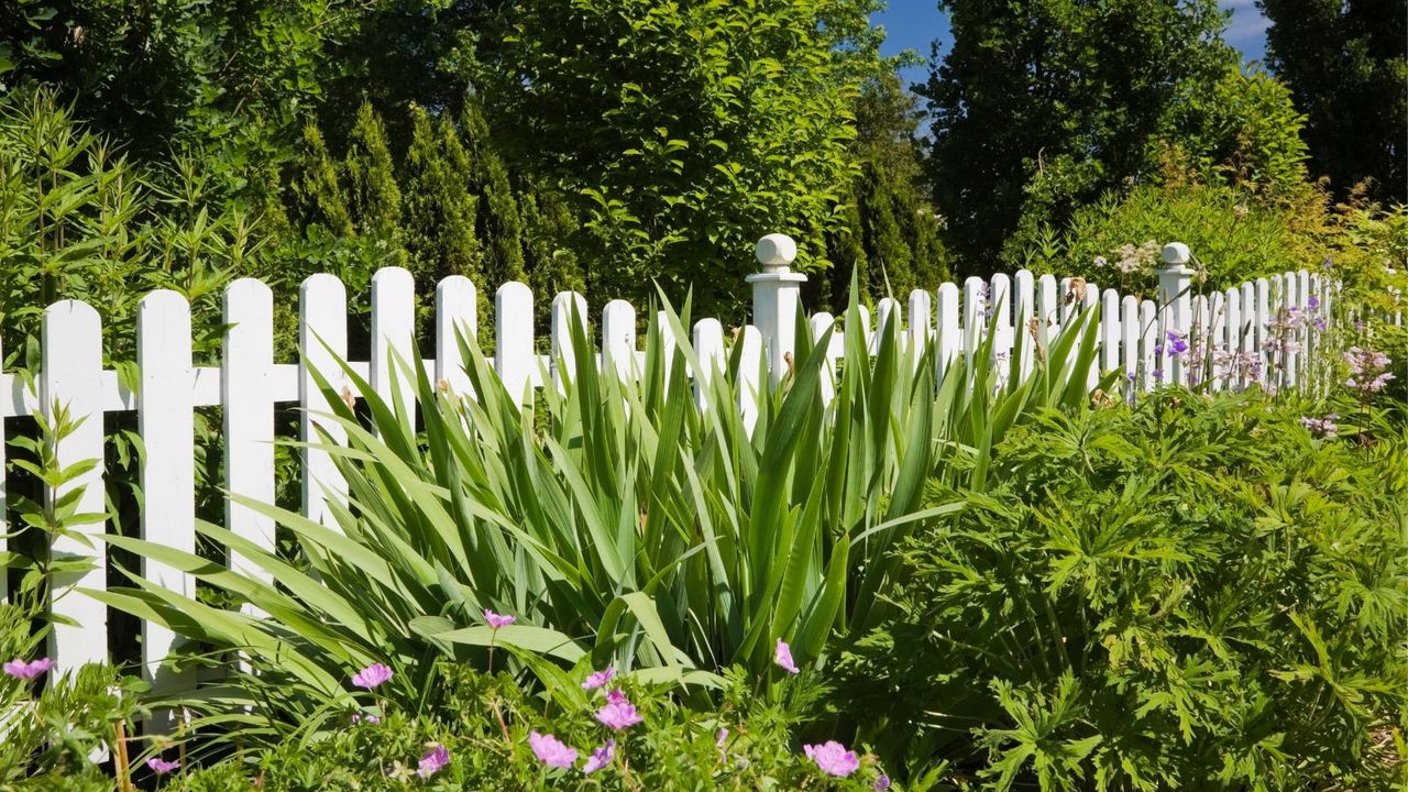 White picket fence