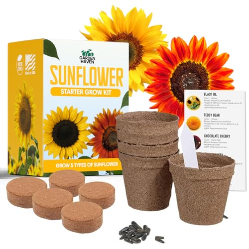 Sunflower Seed Growing Kit -All in One Sun Flower Garden Kit - a Complete Sunflower Gift - Beginner Starter Plants- Seed Variety Pack