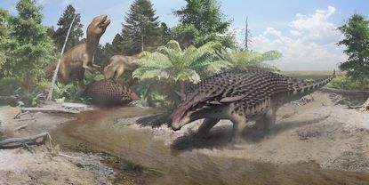 nodosaur illustration